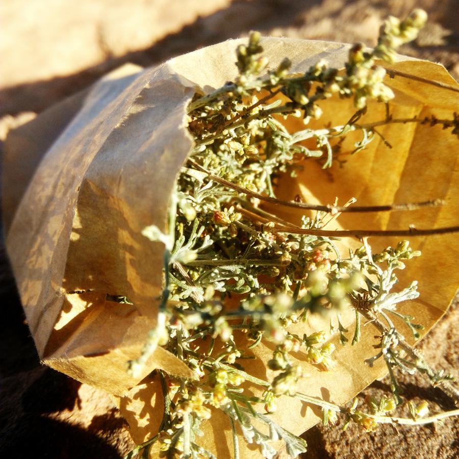 Al Quwayrah Malakorum מראה חיצוני תמונה